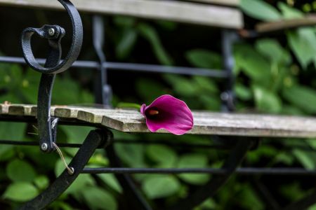 Blume auf einer Friedhofsbank
